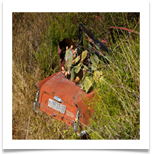 A PRICKLY SEAT - Des Hawley 